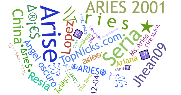 Nicki do Aries